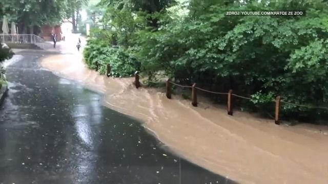 Video ukazuje, jak se pražskou zoo prohnala velká voda